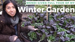 Vegetables that Grow in the Cold  Wendi Gives Full Tour of My Winter Garden [upl. by Westbrooke987]