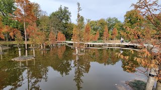 Jardin Botanique de Meise 29 Octobre 2022 [upl. by Oneill470]