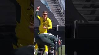 Zampa flattens Babar’s stumps 🔥 AUSvPAK [upl. by Fulmer]