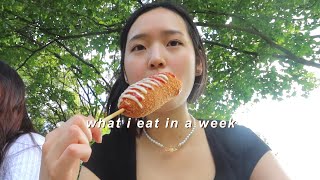 what i eat in a week part 2 korean food  realistic [upl. by Yuria187]