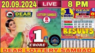 Lottery live Dear Lottery sambad Live result 8pm today 20092024 nagaland Lottery Live [upl. by Adel]