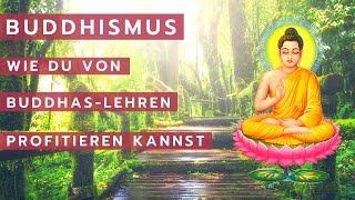 Was ist Buddhismus Einfach erklärt  Die vier edlen Wahrheiten [upl. by Ahsirek19]