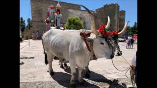 FESTA DI SAN PIETRO MIGLIONICO 29 GIUGNO 2019 [upl. by Emmy]