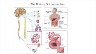 AlphaSynuclein  Whats it all about [upl. by Chen731]