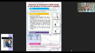 Short term or working memory in the brain  Intro to Psychology [upl. by Airet]