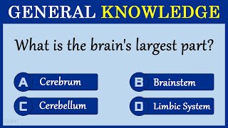 How Good Is Your General Knowledge Take This 10question Quiz To Find Out challenge 9 [upl. by Ytinirt]