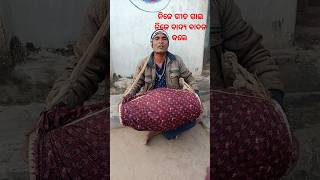 Song Guhari Suna Bhagabana Bhajan Bahak  Basudev Meher Nije ଗୀତ ଗାଇ Nije Bajeile Bhajan ଗୀତ [upl. by Glennie568]