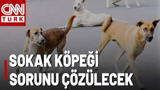 Erdoğandan Sokak Köpeği Yasası Açıklaması quotMillet Bu Sorun Çözülsün İstiyorquot [upl. by Crescin]