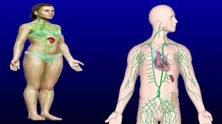 Swollen Lymph Nodes In Chest Causes And Treatment [upl. by Norga725]