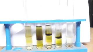 Brown Ring Test  Nitrate Ion NO3   Test  Science Projects and Experiments [upl. by Asirram]