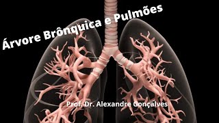 Anatomia da Árvore Brônquica e Pulmões [upl. by Adyl255]