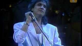 Roberto Carlos Un Gato En La Oscuridad Festival de Viña 1989 [upl. by Gypsy]