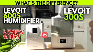 LEVOIT 300S vs LV600S Humidifier Long Term Review amp Comparison [upl. by Egor607]