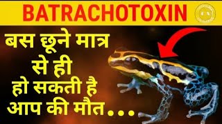 Batrachotoxin🐸🐸  Deady toxin Neurotoxic💯�ath  Caution [upl. by Euqinahc]