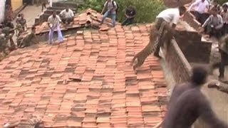 Leopard Charges at Rescue Workers in Central India [upl. by Safoelc]