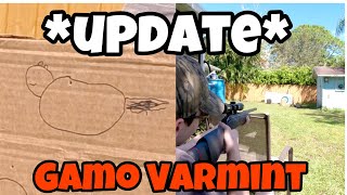 Gamo Varmint Air Rifle UPDATE [upl. by Oiraved]