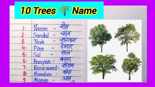 10 Trees name in English and Hindi  name of trees  ped ke naam [upl. by Chlori]