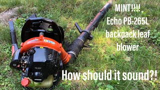 Echo PB265L backpack leaf blower idle and full throttle rev [upl. by Aihsenad296]