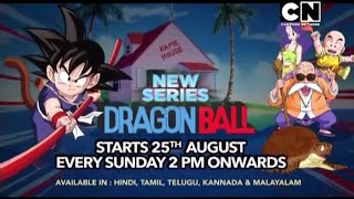 Dragon Ball 1987  Hindi Promo  Starts 25th August 2024  Cartoon Network [upl. by Ahsac]