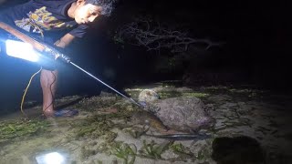 Night Spearfishing sa Hibasan ang Daming Isda  Catch amp Cook [upl. by Saxela]