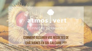 Comment assurer vos récoltes de châtaignes sur sol calcaire [upl. by Martinez573]