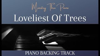 Loveliest Of Trees Piano Accompaniment [upl. by Leach]