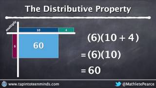 More Distributive Property by Using Multiplication By Chunking 6 x 10 is the same as 610  4 [upl. by Annaeel]