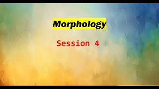 Morphology session 4 Recording [upl. by Annis]