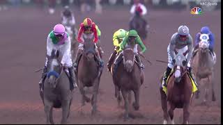 Arrogate Career Highlights [upl. by Nnairrek885]