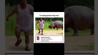 Hippo Vs Hippo 🦛🦛🦛🤣hippopotamus cute fighting fitness dailyvlog capybara crush edit viral [upl. by Alverson]