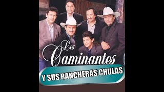 LOS CAMINANTES NO CANTAN MAL LAS RANCHERAS [upl. by Janerich4]