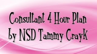 Consultant 4 Hour Plan by NSD Tammy Crayk [upl. by Joseito]