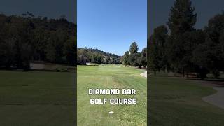 Diamond Bar Golf Course Review golf [upl. by Launamme345]