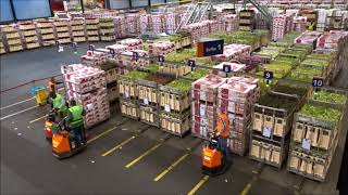 Royal FloraHolland  Amazing Market [upl. by Tupler481]