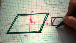 Flächeninhalt eines Parallelogramms berechnen  Mathe verstehen [upl. by Nageam373]