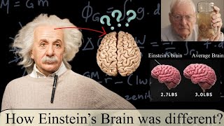 How Einsteins Brain was Different [upl. by Hoover429]