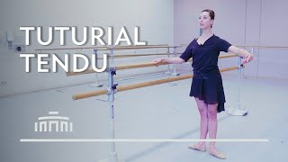 Tendu  Tuturial 1 Ballet exercises  Dutch National Ballet [upl. by Norad]