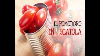 Il pomodoro inscatola Passata polpa o pelati come acquistare il prodotto giusto [upl. by Kornher]