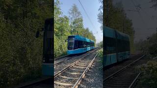 Tram Škoda 39T in Ostrava🇨🇿 tram publictransport ostrava shorts [upl. by Harrod910]