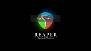 Reaper DAW Maschine VSTi audio and midi Routing [upl. by Henricks]