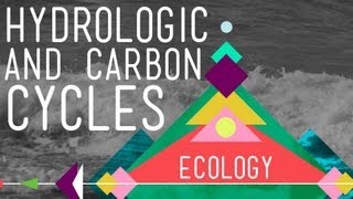 The Hydrologic and Carbon Cycles Always Recycle  Crash Course Ecology 8 [upl. by Koby]