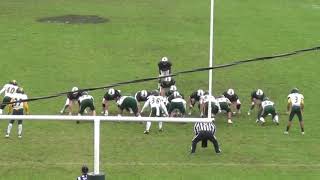 Fitchburg State University Falcons Football Highlights 2018 [upl. by Nivanod]