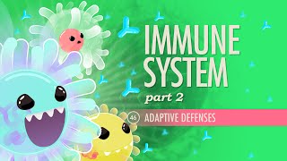 Immune System Part 2 Crash Course Anatomy amp Physiology 46 [upl. by Aicnerolf]