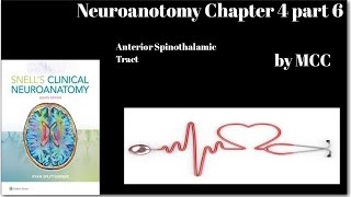 Neuroanatomy Chapter 4 part 6Anterior Spinothalamic TractCrude touch pathwayspinal lemniscus [upl. by Burck811]