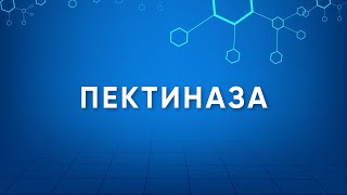 Пектиназа Pectinase Назначение Производство Применение Энзимология в деталях [upl. by Naam]