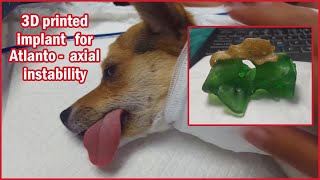 Atlantoaxial instability 3D personalized implant for a dog [upl. by Younglove]