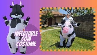 Inflatable Cow Costume for Adults [upl. by Llirret]