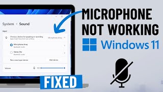 Fix Microphone Not Working on Windows 11 2024 [upl. by Alasdair]