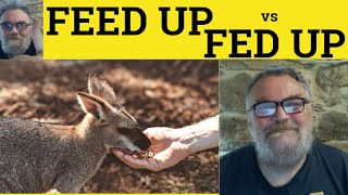 🔵 Feed Up Meaning  Fed Up Examples  Fed Up vs Feed Up  Phrasal Adjectives Verbs Feed up or Fed Up [upl. by Pathe]