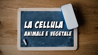 DIDATTICA A DISTANZA  La Cellula Animale e Vegetale [upl. by Oinegue]